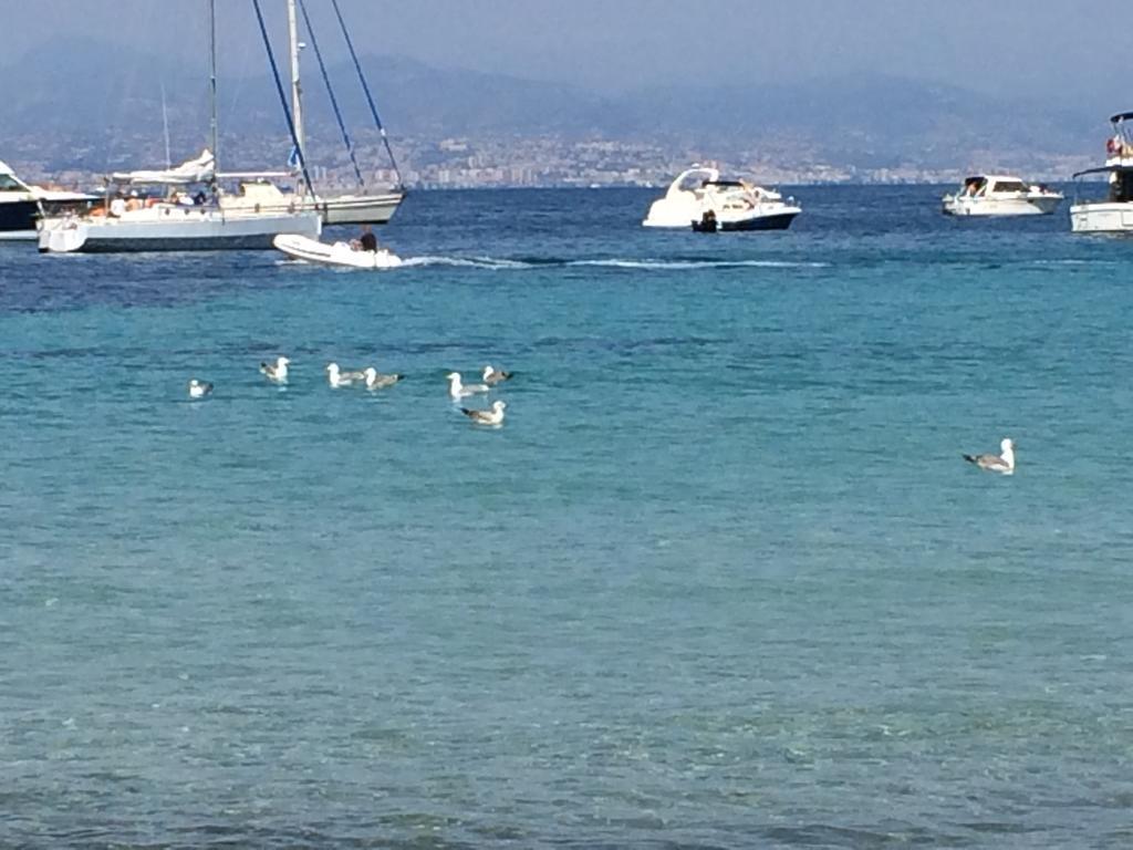 Casa Dade Villa Cannes Eksteriør bilde