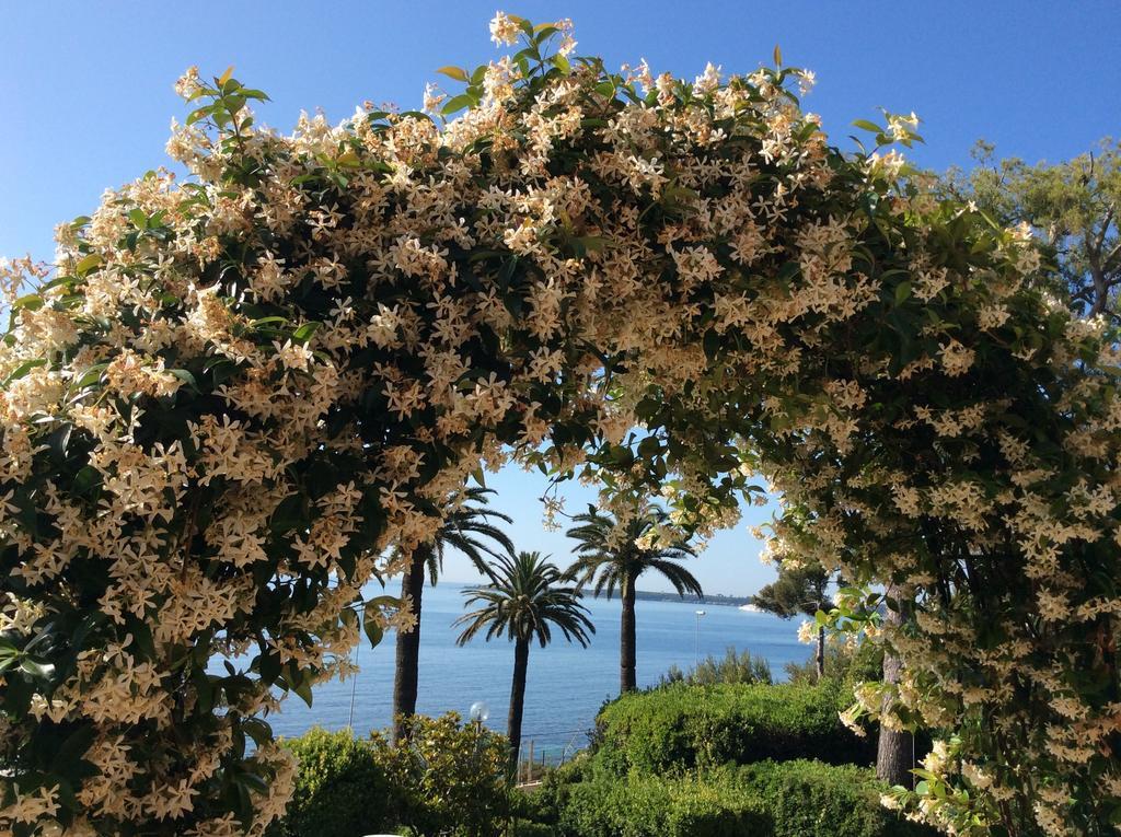 Casa Dade Villa Cannes Eksteriør bilde